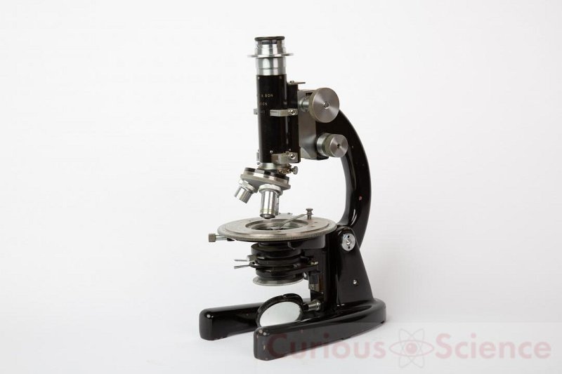 Microscope